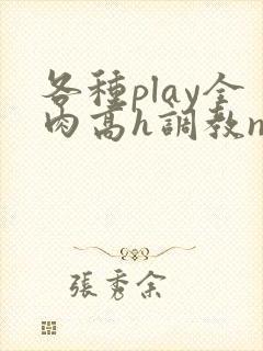 各种play全肉高h调教np