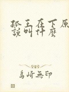 孤王在下原著小说叫什么