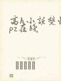 高h小说双性npz在线