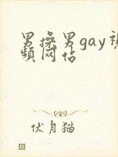 男操男gay视频网站