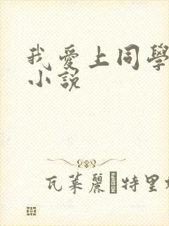 我爱上同学妈妈小说