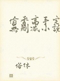 偷香高手完整版无删减小说封面