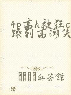 4p高h被狂c躁到高潮失禁