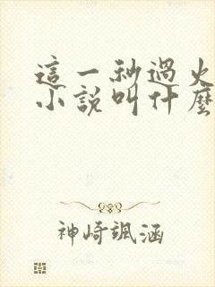 这一秒过火原著小说叫什么名字
