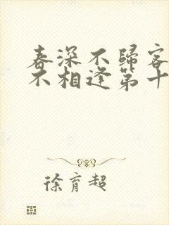 春深不归客清梦不相逢第十章