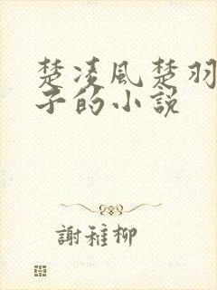 楚凌风楚羽九皇子的小说