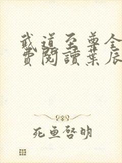 武道至尊全文免费阅读叶辰