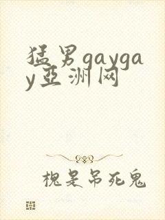 猛男gaygay亚洲网