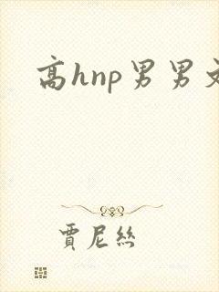 高hnp男男文