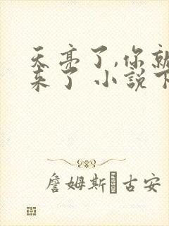 天亮了,你就回来了 小说下载txt