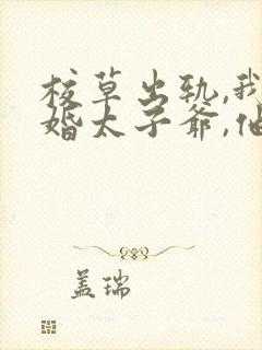 校草出轨,我闪婚太子爷,他疯了免费阅读小说