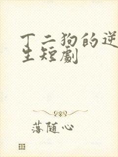 丁二狗的逆袭人生短剧封面