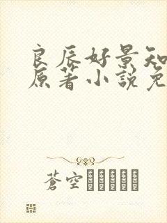良辰好景知几何原著小说免费阅读