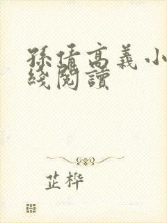 孙倩高义小说在线阅读