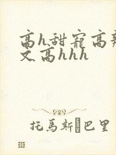 高h甜宠高辣宠文高hhh