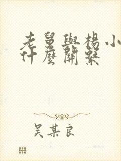 老舅与杨小姐是什么关系