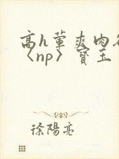 高h荤爽肉欲文〈np〉宝玉封面