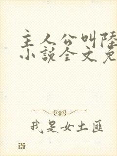 主人公叫陆沉的小说全文免费阅读