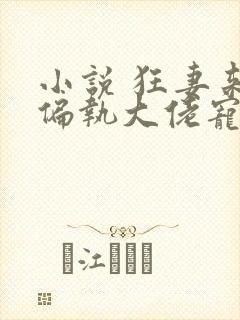 小说 狂妻来袭偏执大佬宠上天