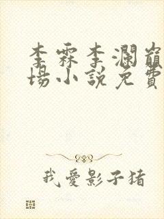 李霖李澜巅峰官场小说免费阅读