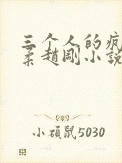 三个人的疯狂苏柔赵刚小说阅读