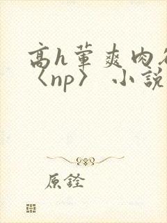 高h荤爽肉欲文〈np〉 小说