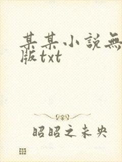 某某小说无删减版txt