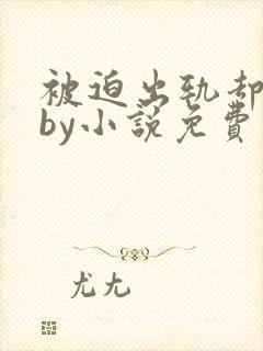被迫出轨却上瘾by小说免费阅读