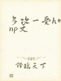 多攻一受h啪肉np文封面