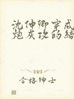 沈仲卿穿成反派炮灰攻的结局