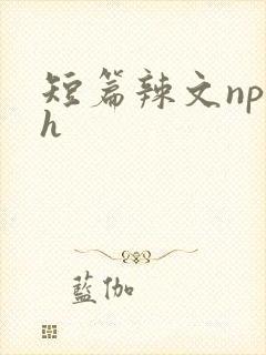 短篇辣文np高h