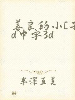 善良的小[子hd中字3d