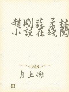 赵刚苏柔林风的小说在线阅读无弹窗免费阅读封面