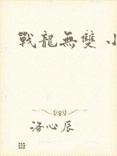 战龙无双 小说