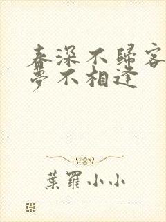 春深不归客,清梦不相逢