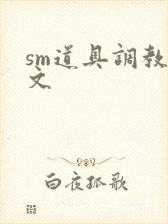 sm道具调教男文
