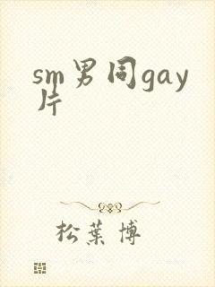 sm男同gay片封面