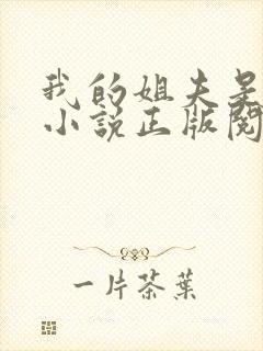 我的姐夫是太子小说正版阅读