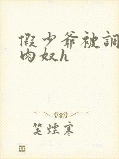 假少爷被调教成肉奴h