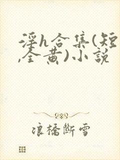 淫h合集(短篇,全黄)小说封面