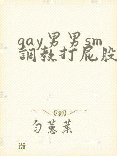 gay男男sm调教打屁股惩罚