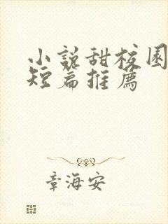 小说甜校园言情短篇推荐