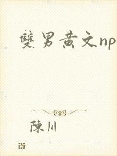 双男黄文np