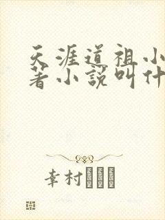 天涯道祖小说原著小说叫什么名字