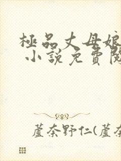 极品丈母娘赵悦 小说免费阅读全文封面