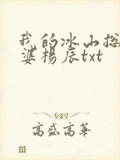 我的冰山总裁老婆杨辰txt