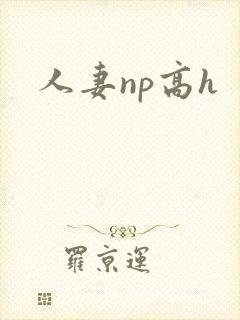 人妻np高h封面