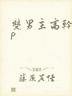 双男主高干文np