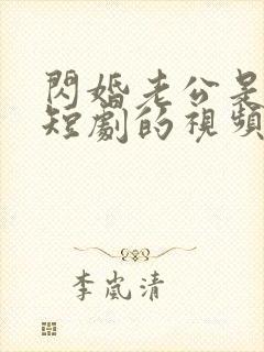 闪婚老公是总裁短剧的视频