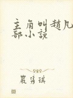 主角叫赵凡是哪部小说